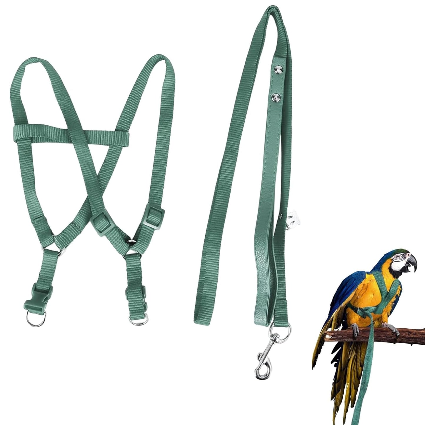 Parrot Leash