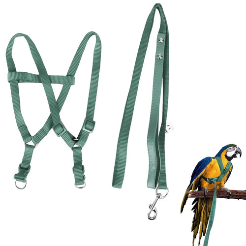 Parrot Leash